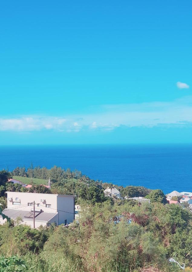 Вілла Lilie Location Manapany 4 Etoiles Петіт-Іль Екстер'єр фото
